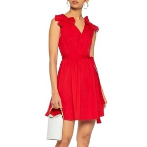 Walter Baker Sleeveless Pleated Dress Size XS